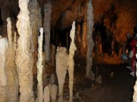 /album/galerie-foto/images-20-jpg1/